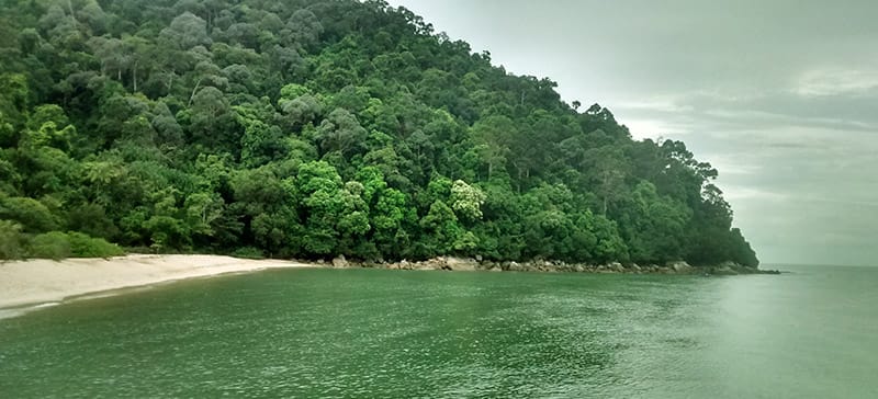 Parque Nacional De Penang