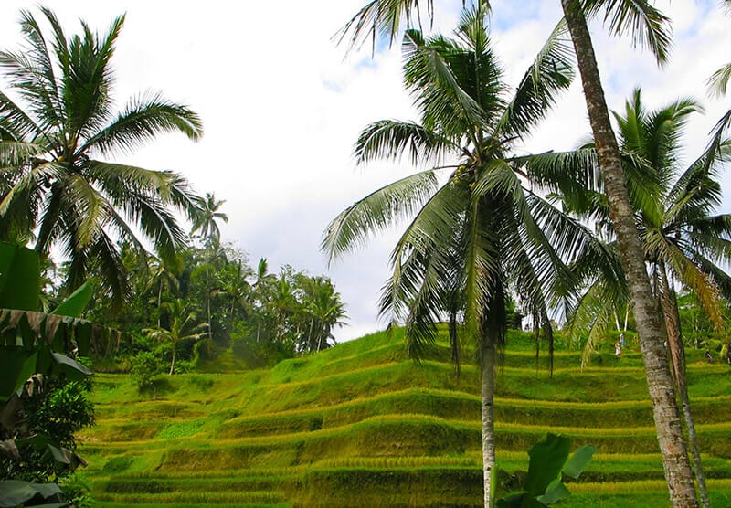 Viajar a Indonesia - Ubud, Bali