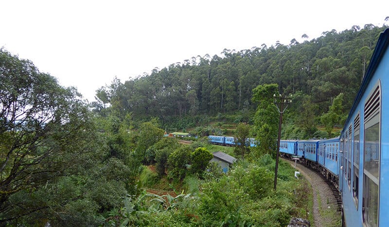 Tren Nuwaraeliya - Viajar a Sri Lanka