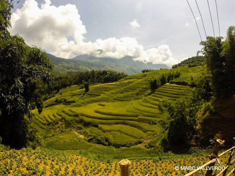 Viajar a Vietnam - Imprescindibles, Sapa